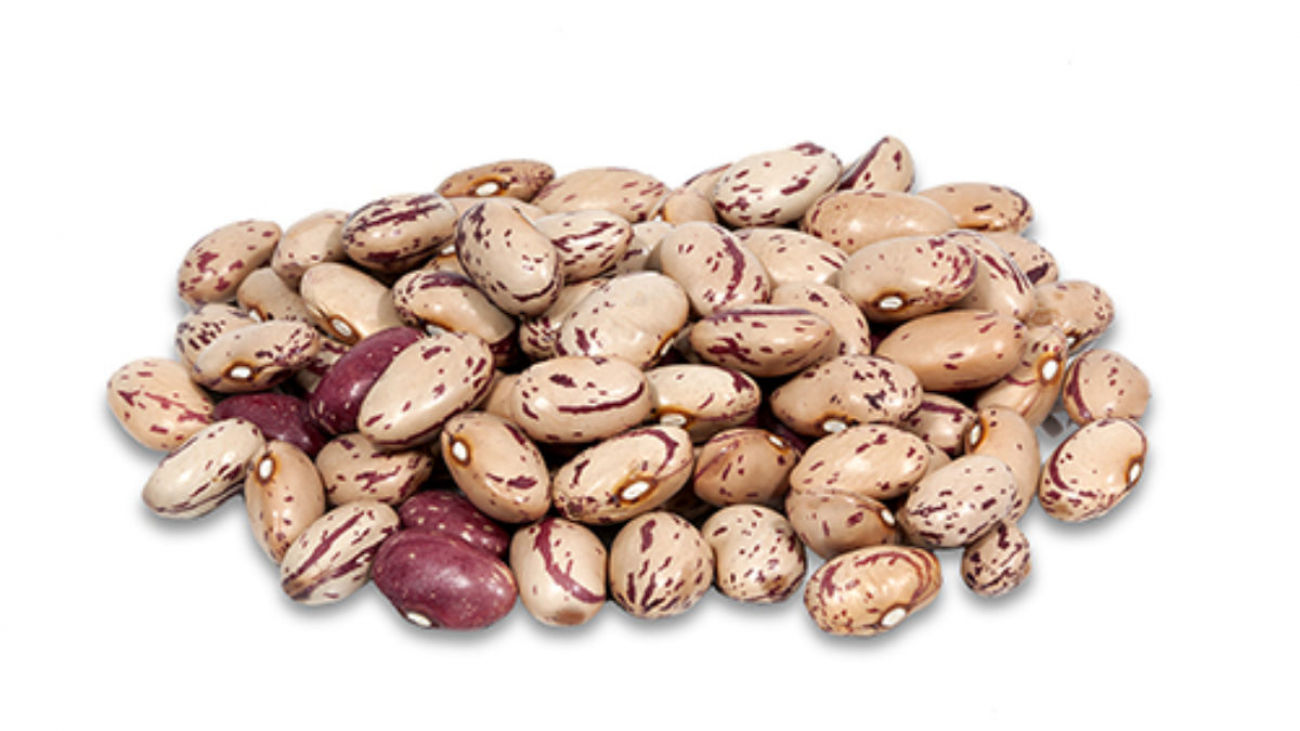 731-Alubia-pinta-1200x675